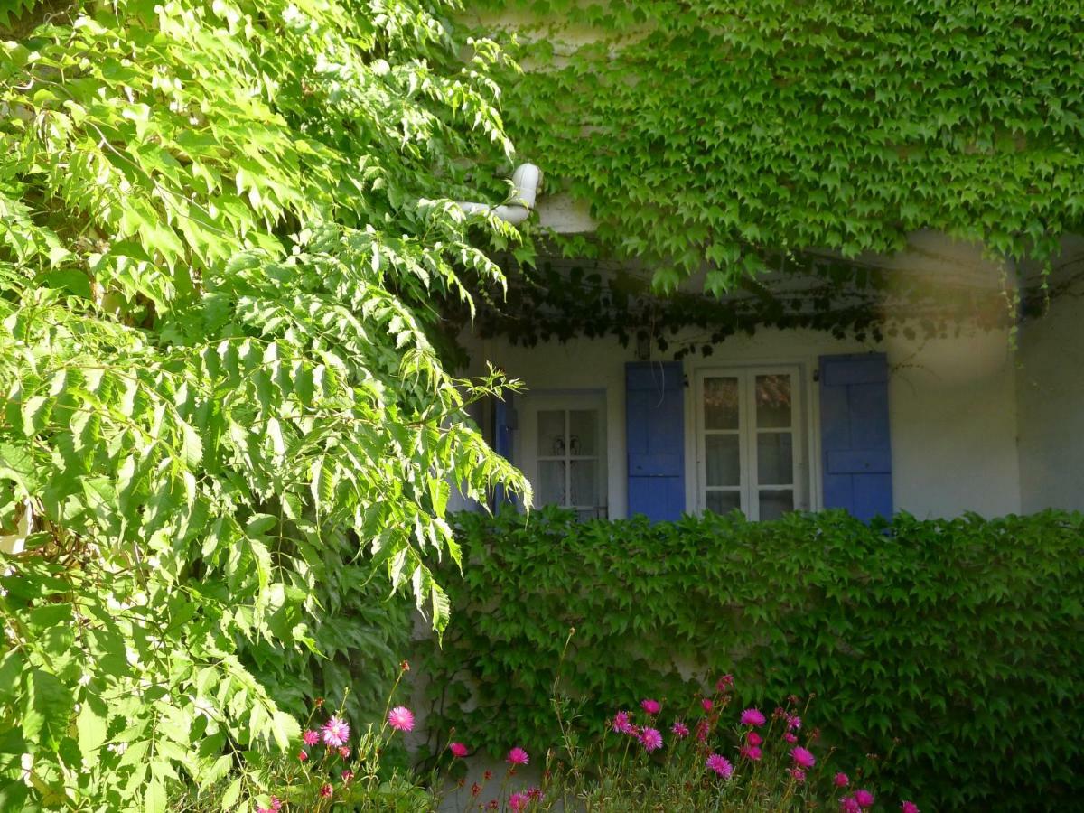 Coq Hotel Cogolin Kültér fotó